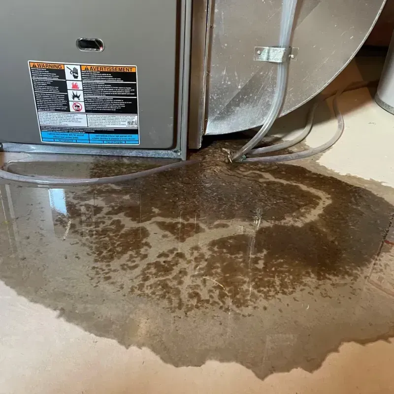 Appliance Leak Cleanup in Mundelein, IL